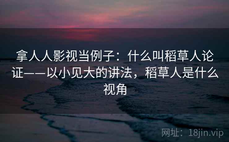 拿人人影视当例子：什么叫稻草人论证——以小见大的讲法，稻草人是什么视角
