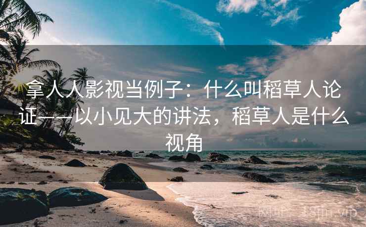拿人人影视当例子：什么叫稻草人论证——以小见大的讲法，稻草人是什么视角