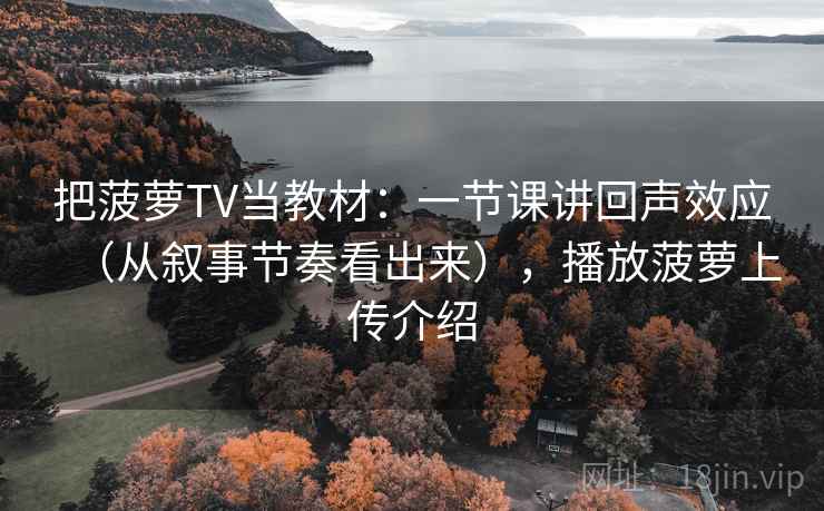 把菠萝TV当教材：一节课讲回声效应（从叙事节奏看出来），播放菠萝上传介绍